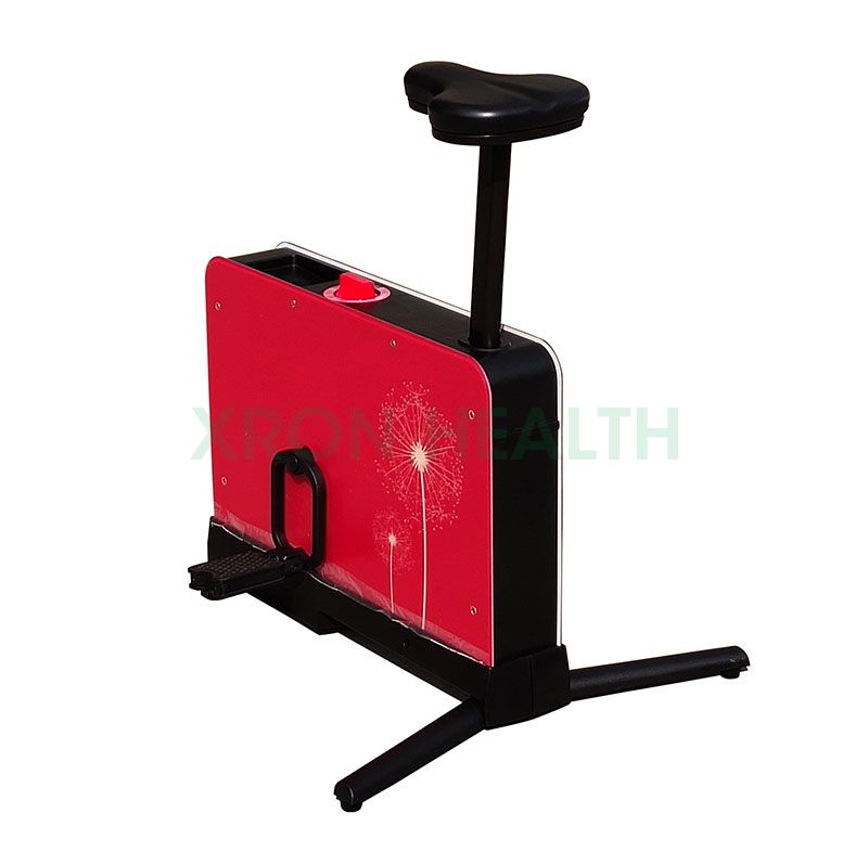 Folding Exercise Bike XR-600